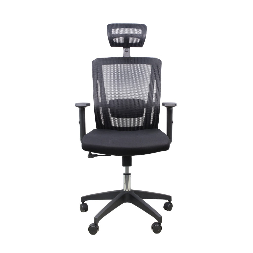 Ergonomic Mesh Office Chair with Adjustable Headrest - Black